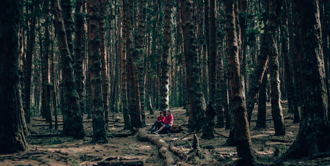 person sitting forest grounding