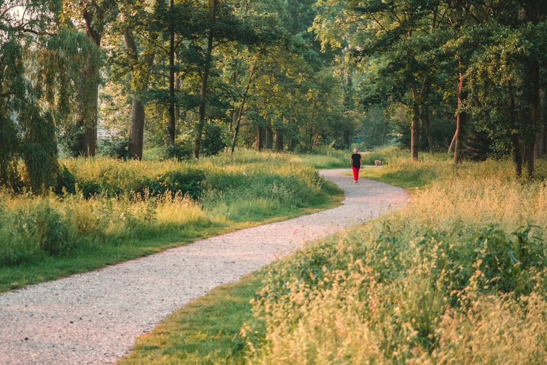 quiet walking path