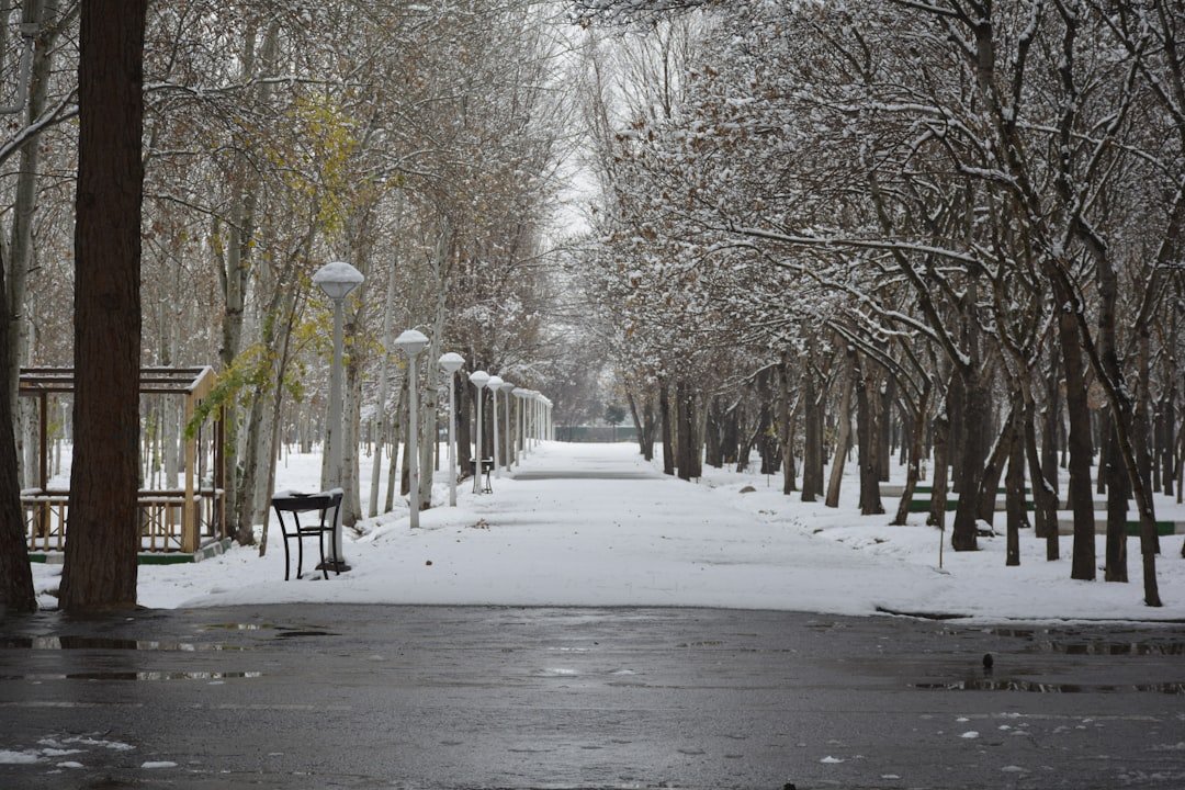 quiet park pathway
