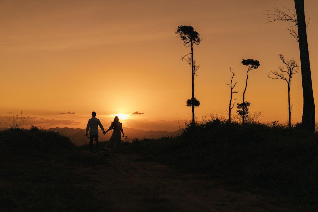 couple holding hands sunset