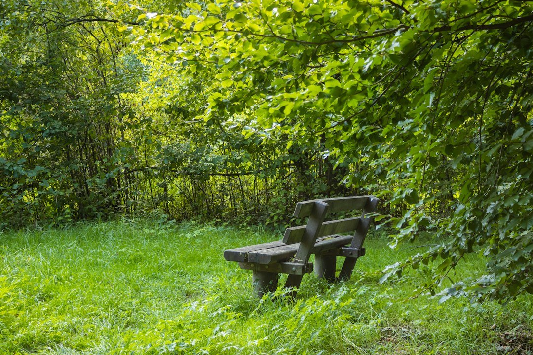 quiet meditation corner